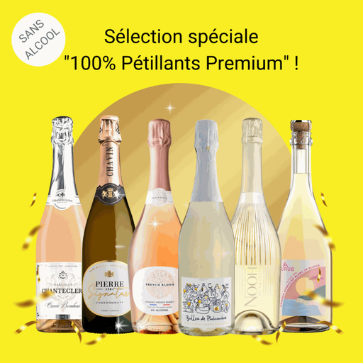 [COFFRET_PetillantsPremium] Sélection spéciale "vins pétillants sans alcool" - pétillants premium désalcoolisés